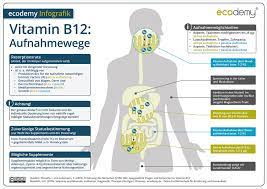 vitamin b12 zu hoch