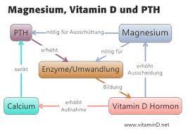 vitamin d magnesium