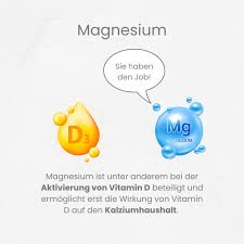 vitamin d3 k2 magnesium