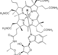 vb12