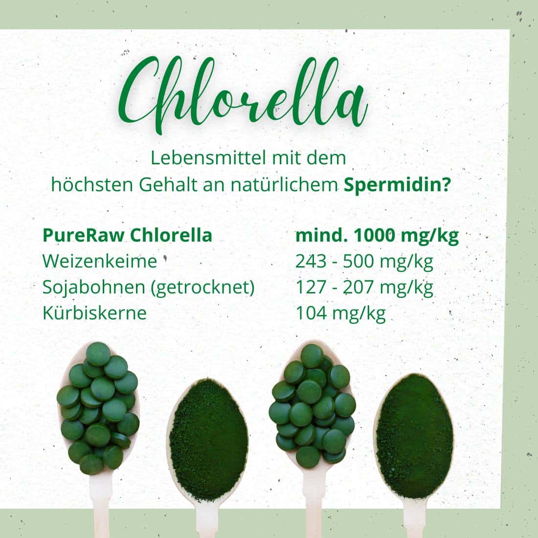 chlorella b12